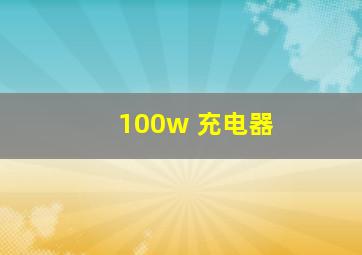 100w 充电器